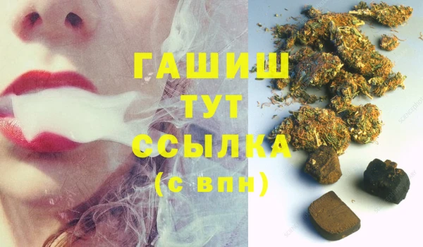 гидра Саяногорск