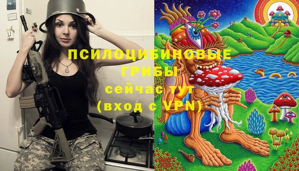 spice Сафоново