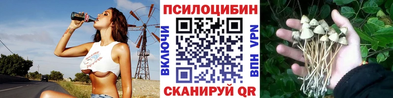 Галлюциногенные грибы Magic Shrooms  дарк нет формула  Киренск  закладки 